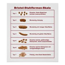 Bristol Stuhlformen Skala Poster Zazzle Com Bristol