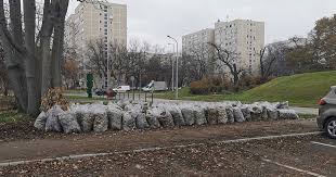 Felhívták a figyelmet, hogy a tűzgyújtási tilalom idején tilos tüzet gyújtani a külterületi ingatlanokon fekvő erdőkben és fásításokban, valamint azok 200 méteres körzetében, ideértve a tűzrakóhelyeket. Tuzgyujtasi Tilalom 2021 Tudnivalok Szebenyi Peter