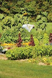 Please change the filter options and try again. Alternative Pest Control Methods Farm And Garden Grit Magazine