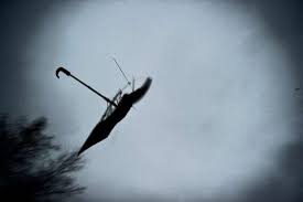 Syysmyrsky saapuu Peimariin lauantaina ‒ puuskia luvassa jo  perjantai-iltana | Kuntsari