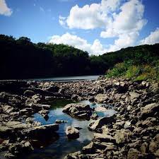 We did not find results for: Best Fishing Trails In Palisades Kepler State Park Iowa Alltrails