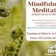 Guided Mindfulness Meditation event image
