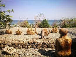 The congress of the union (spanish: La Union Beyond Surfing