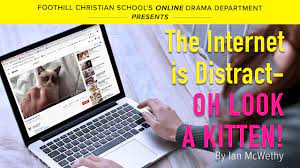 One minute comedic monologue reginald johnson. The Internet Is A Distract Oh Look A Kitten Youtube