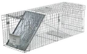 We are the manufacturers of humane cat traps and trapping systems. Resources Toronto Street Cats