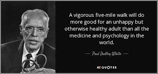 Healthy living sayings and quotes · good health is not something we can buy. Top 25 Healthy Lifestyle Quotes Of 100 A Z Quotes