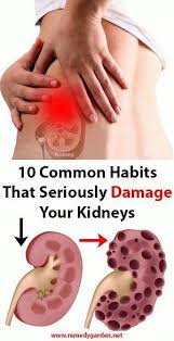 10 Common Habits That Damage Your Kidneys In 2020 Natural Health Tips Health Tips Kidney Health