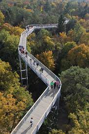 Es ist natürlich schade, dass wir immer noch geschlossen haben & euch. Baumkronenpfad Beelitz Heilstatten Treetop Walkway Landscape Architecture Design Walkway Landscaping Urban Forest
