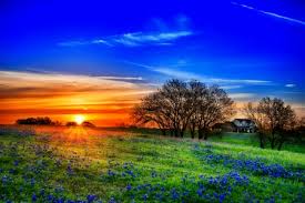 texas hill country sunsets nature