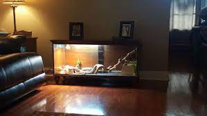Aubbc bearded dragon hammock, 100% natural seagrass triangular lizard lounger with jungle climber vines reptile leaves hooks for geckos, anoles, snakes and more (12.5 x16.5 inch) 4.5 out of 5 stars 953 Gizmos New Custom Enclosure Bearded Dragon Org