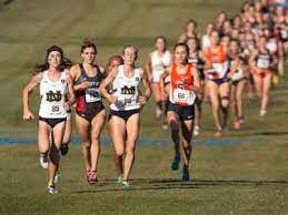 1 day ago · more:notre dame's molly seidel is an olympian: Molly Seidel Continues Impressive Career At Notre Dame Issues Scholastic University Of Notre Dame