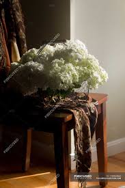 Maybe you would like to learn more about one of these? Fresh Cut Hydrangea Flowers In Wire Basket On Wooden Chair Blooming Floral Stock Photo 178860860