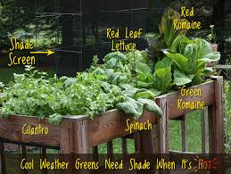 On this page a lot of gardening diys and different techniques to grow your. 5 Tips For Successful Container Gardening Soupaddict