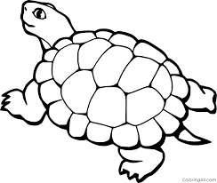 Snapping turtles have an average life span of. Terrapin Coloring Pages Coloringall
