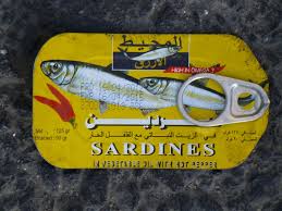 Sardine Tin Spotted On The Road Near Rainbow Street Amman Sardines Vintage Packaging Food Illustrations