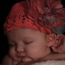 Pettit's Shimmer Photography