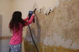 Tips For Easy Wallpaper Removal Kezzabeth Diy Renovation Blog
