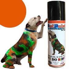 Pet Paint Old Dog Orange Colored Fur Spray 5 Oz Ryan S Pet Supplies