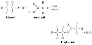 Esters In Food Chemistry Libretexts