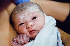 heather bays — Blog + Toronto Family Photographer