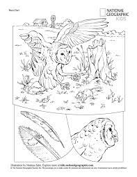 Aprende a colorir tem um código isbn os livros estão disponíveis em diferentes formatos, de acordo com a sua conveniência: Livro De Colorir Animais Gratis Para Baixar Em Pdf Espaco Educar Desenhos Pintar Colorir Imprimir