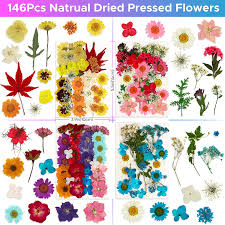 Maybe you would like to learn more about one of these? Buy 146 Pcs Real Natural Dried Pressed Flowers For Resin Dry Flower Bulk Natural Herbs Kit For Candle Epoxy Resin Soap Making Scrapbooking Diy Art Crafts Painting Online In Indonesia B094blcyds
