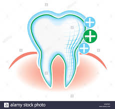 Ihnen muss ein zahn gezogen werden und sie möchten sich über die anfallenden kosten informieren. Zahn Und Zahnfleisch Hand Zeichnen Zahnmedizin Zahnreinigung Mundhygiene Stockfotografie Alamy