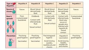Image result for hepatitis symptoms