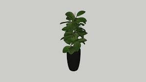 Potted plant png & psd images with full transparency. Potted Plant 3d Warehouse