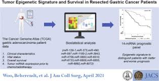 Unfortunately i can't link to them due to being a new member. Tumor Epigenetic Signature And Survival In Resected Gastric Cancer Patients Sciencedirect