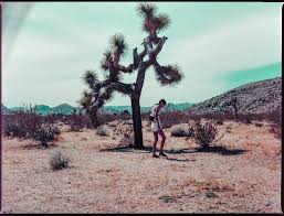 Early in 2020, she was. Blog 2 Nightbirde