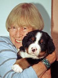 DWAA Winter 2012 Electronic Version