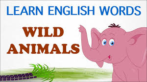 Maybe you would like to learn more about one of these? Wild Animals Pre School Learn English Words Spelling Video For Kids And Toddlers Youtube