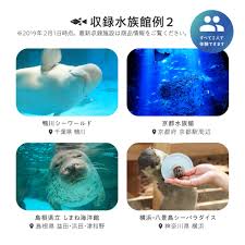 www.amazon.co.jp