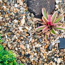 How to separate rocks and dirt?. Pea Gravel Flower Bed Tips You Need To Know Gravel Landscaping Flower Beds Gravel Garden