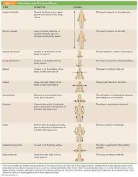 Directional Terms Orientation And Directional Terms Anatomy Quiz With Importan Anatomy And Physiology Basic Anatomy And Physiology Human Anatomy And Physiology