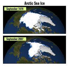 Pin By Justin Burlin On Animals Nature Arctic Sea Arctic Sea Ice