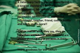 Petting, scratching, and cuddling a dog could be as soothing. Vet Tech Quotes Quotesgram