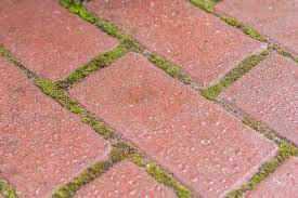 Waschsodas stellt als „reines soda ein umweltfreundliches mittel gegen algen und auch gegen moos dar. Soda Fur Das Entfernen Von Moos So Setzen Sie Es Ein