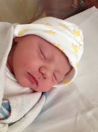 The Appalachian Pineapple: Adventure WV Babies, Weddings, and Graduations!  Congratulations!