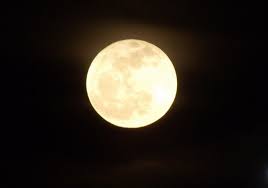 Check spelling or type a new query. Romantic Moon Night Free Stock Photos Download 3 325 Free Stock Photos For Commercial Use Format Hd High Resolution Jpg Images