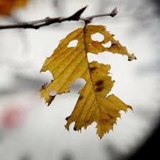 März 2021 bei ihren planungen berücksichtigen. Zeitumstellung 2014 Am Sonntag Ist Es Wieder Soweit Der Spiegel