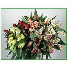 Get great value for every you can access lowes foods weekly ads online or go to the nearest store to get the printed flyer you can have your grocery items delivered straight to your doorstep or select the curbside pickup. Flowers At Lowes Foods Instacart