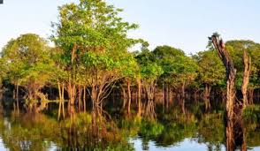 Sungai ranjang ini menjadi sungai urutan teratas sebagai sungai dengan ukuran panjang terpanjang di malaysia. Sungai Terpanjang Di Benua Amerika Sumber Informasi Terpercaya