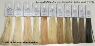 Illumina Hair Color Shades Google Search Hair Color