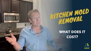 Ideal for use on indoor and outdoor surfaces including bathrooms, linens, draperies, fabrics, apparel, carpets, bedding, upholstery and furniture. Kitchen Cabinets Mold Removal Treatment Services Los Angeles