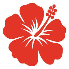 Http Fleur Hibiscus Fr Fleurs Individuelles 28 Autocollant Sticker Fleur D Hibiscus Orange Html Fleur Hibiscus Ibiscus Dessin Fleurs Hibiscus Dessin Fleur