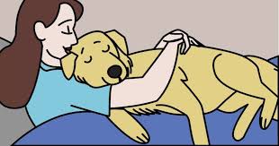 Create a comfortable space for the dog. 11 Ways Your Dog Says I Love You