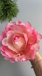 rose sturgess (rosecsturgess)