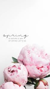 Pin By Lenie Hofmans On Backgrounds Flower Background Iphone Pink Flowers Wallpaper Flower Wallpaper